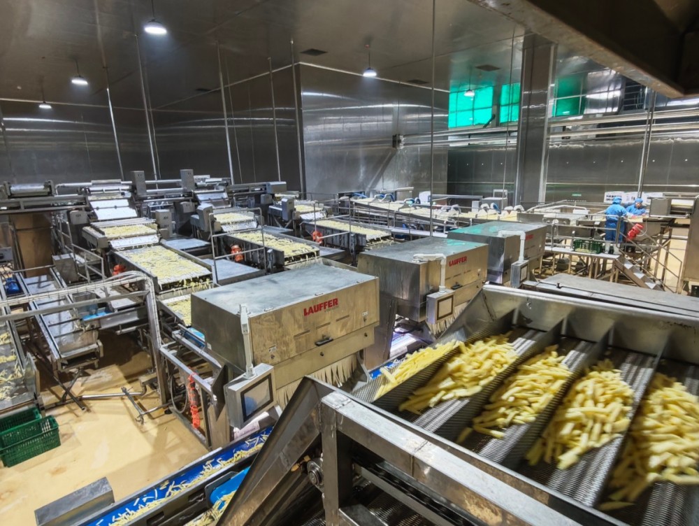 青岛胜家8T/h、3T/h等综合油炸薯类项目成功案例