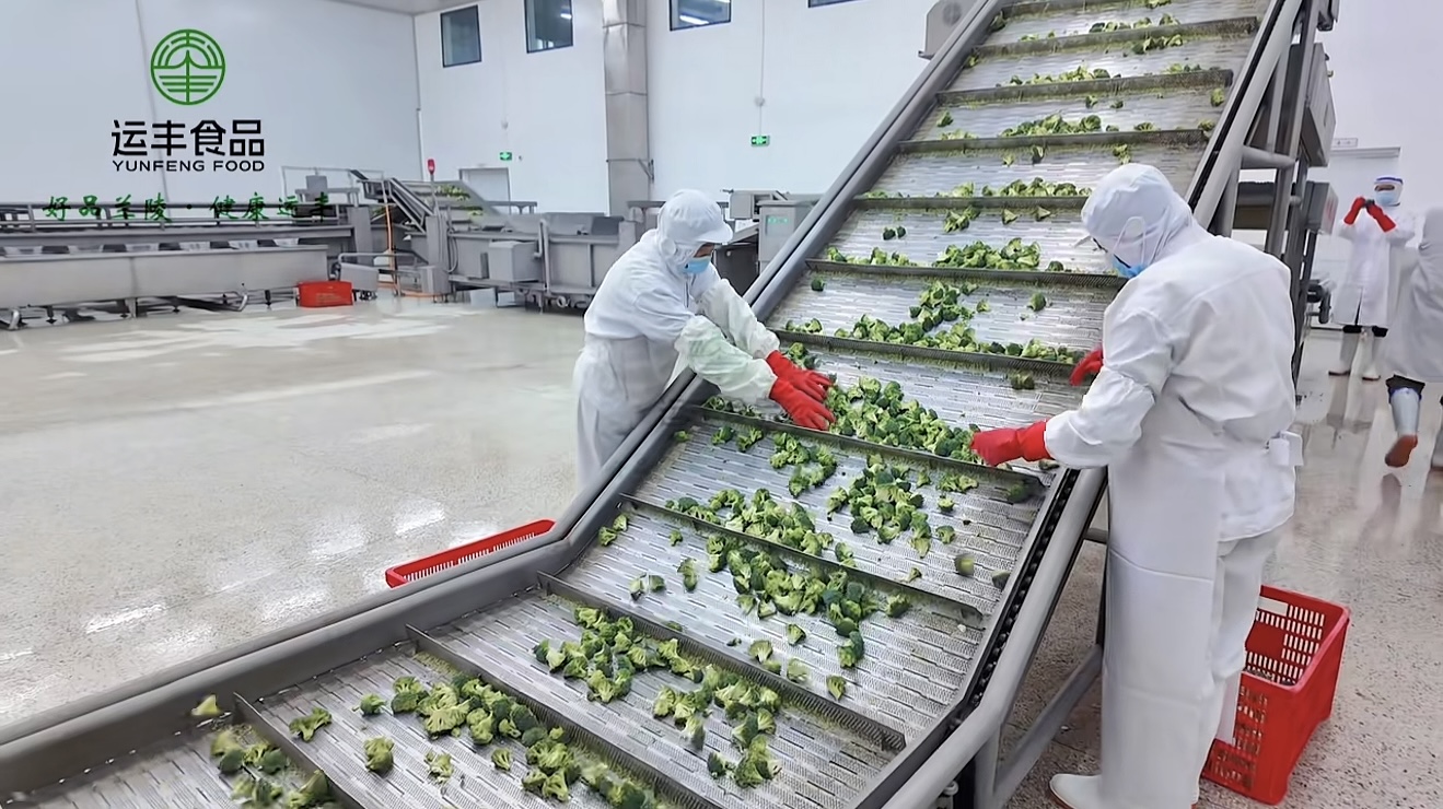 山东运丰食品冷冻蔬菜项目成功案例